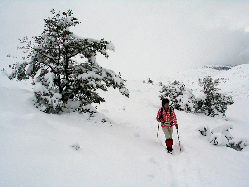 randonnee-raquettes-a-neige-mercantour