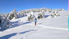 Randonnée Raquettes à neige Mercantour