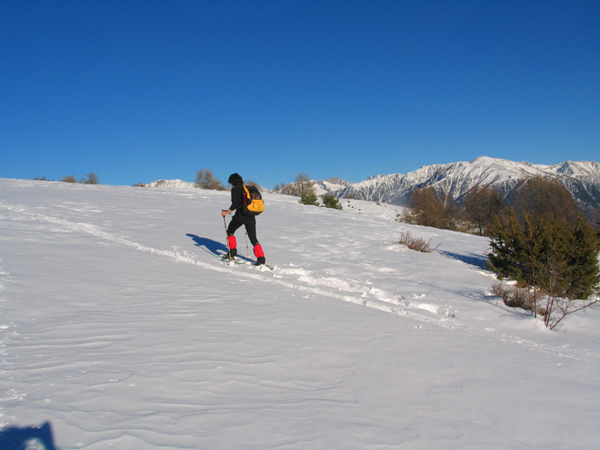 randonnée raquettes à neige