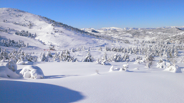 raquettes à neige