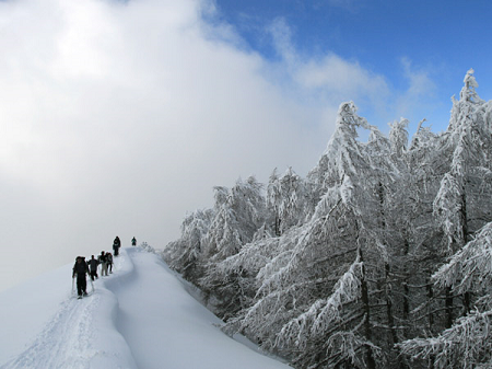 raquettes à neige