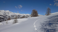 Randonnée Raquettes à neige Mercantour