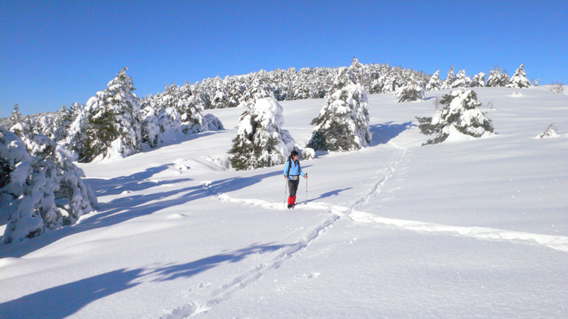 Randonnée Raquettes à neige Mercantour- Gréolières