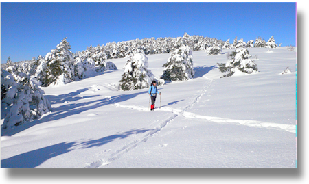 raquettes à neige