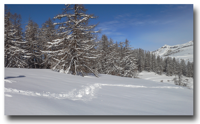 randonnée raquettes à neige brussière